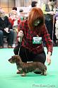 Crufts2011_2 1188